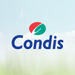 Condis